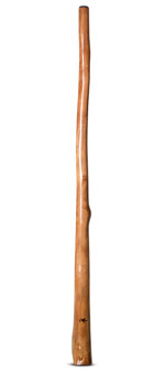 Tristan O'Meara Didgeridoo (TM291)